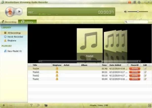 Wondershare Streaming Audio Recorder crack