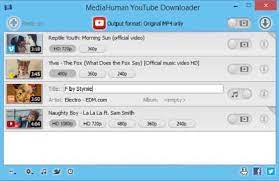 mediahuman youtube downloader Crack